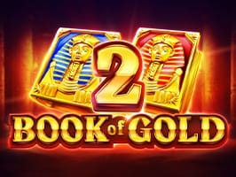 Book of Gold 2 Double Hit game screenshot